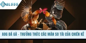 AOG Đá Gà - Thưởng Thức Các Màn So Tài Của Chiến Kê