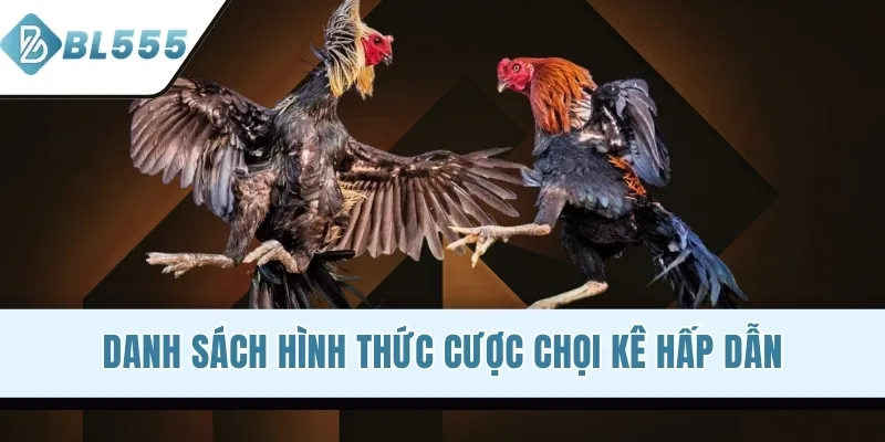 Danh sách hình thức cược chọi kê hấp dẫn