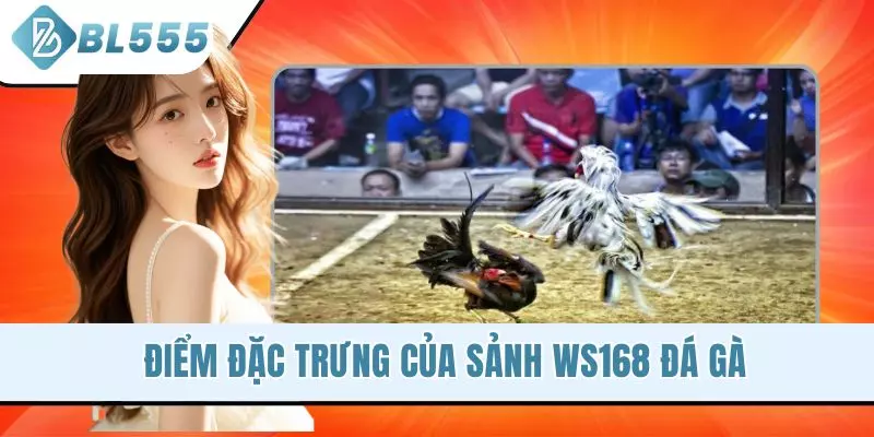 Điểm đặc trưng của sảnh Ws168 đá gà