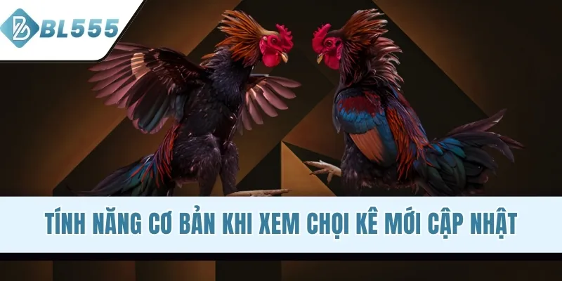 Tính năng cơ bản khi xem chọi kê mới cập nhật